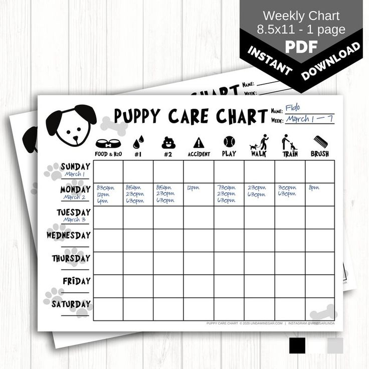 Weekly Puppy Care Chart PRINTABLE Dog Chore Chart For Kids Etsy